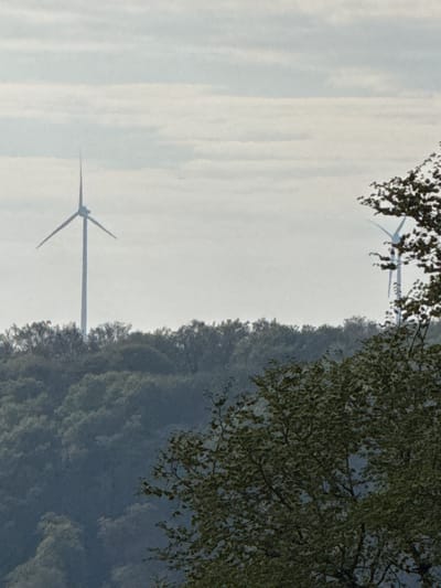 A low-angle shot depicts a landscape featuring wind turbines, taken in Diekirch, Luxembourg. A leafy green tree branch occupies the upper-right corner of the frame. The sky is a pale grey with a striated cloud pattern. In the distance, there is a line of trees. Two wind turbines are in view: one in the lower-left corner, and another, partially obscured by the foliage, in the upper part of the frame.