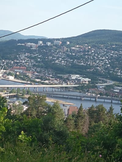 This is an aerial, high-angle, long shot photograph of the city of Drammen, Norway, as seen from a hillside overlooking the city. The scene is dominated by a large, wide river with multiple bridges spanning across it. The city itself sprawls across the riverbanks and up the surrounding hillsides, characterized by a mix of modern apartment buildings, older residential houses with red roofs, and various other structures.
In the foreground, lush green foliage and trees obscure parts of the view. The river appears calm, with the water reflecting the sky. The bridges are substantial, concrete structures, with traffic visible on the main highway bridge, indicating a busy urban environment. The hills in the background are densely covered with trees, suggesting a natural landscape surrounding the city. The sky is clear and blue, indicating a sunny day. The presence of buildings and infrastructure strongly suggests an urban setting, specifically Drammen, Norway, given the characteristic geographical features and architectural styles often seen in Scandinavian cities. There are no visible people or animals in the image.