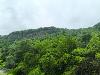 A lush, green mountainside is captured under an overcast sky. The foreground is dominated by a dense canopy of vibrant green trees, their leaves appearing fresh and full, suggesting a temperate climate. The trees vary in shade and density, with some closer branches showing intricate details and texture, while others further back create a softer, undulating backdrop.

Beyond the dense foliage, the mountain slope reveals patches of exposed rock, adding a rugged texture to the scene. These rocky outcrops are interspersed with more trees, creating a layered effect. The overall impression is one of natural abundance and a slightly moody, perhaps damp, atmosphere due to the cloudy conditions. The time of day appears to be daytime, but the cloud cover diffuses the light, preventing harsh shadows. The scene evokes a sense of peacefulness and the raw beauty of untouched nature. There are no people or specific objects visible, the focus being entirely on the natural landscape. The hint images confirm the presence of a body of water at the bottom left of the original image, adding another element to the natural setting.