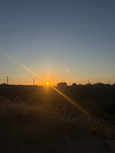 This is a vertical, eye-level, full shot of a sunset over a rural landscape. The sun is low on the horizon, casting a warm orange glow across the sky. The sky transitions from a pale blue at the top to a deep orange near the horizon. In the foreground, dry grass and weeds are silhouetted against the sunset. In the middle ground, a dark, hilly terrain is visible, with power lines and telephone poles running across it. A few houses are silhouetted against the sky in the distance. The overall mood of the image is peaceful and serene. The location is identified as Mizhlymanske, Ukraine.