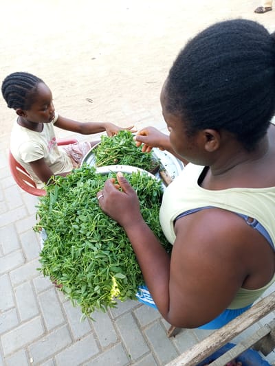 In Isunba, Nigeria, a medium, close-up shot shows a young girl and an adult woman seated, sorting through a large pile of leafy green vegetables on a silver platter. The girl sits in a red plastic chair, wearing a light-colored t-shirt and patterned shorts, while the woman, seen from the back, wears a light green tank top over a blue bra strap and blue shorts. The vegetables occupy most of the frame, and a knife is visible among them on the platter. The ground is paved with gray rectangular stones. The background shows a sandy area and, in the top right corner, part of a person's leg wearing brown sandals.