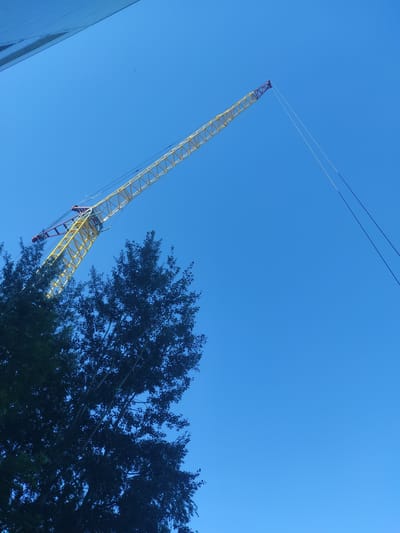 In Kyzyl, Kazakhstan, a yellow and red tower crane extends diagonally across a clear blue sky. The crane's boom is angled upwards, with thin cables extending from its tip into the distance. In the foreground, the dark silhouettes of lush green trees partially obscure the lower portion of the crane and the sky. The composition suggests a construction site or an area undergoing development, with the crane dominating the skyline against the backdrop of a bright, cloudless day.