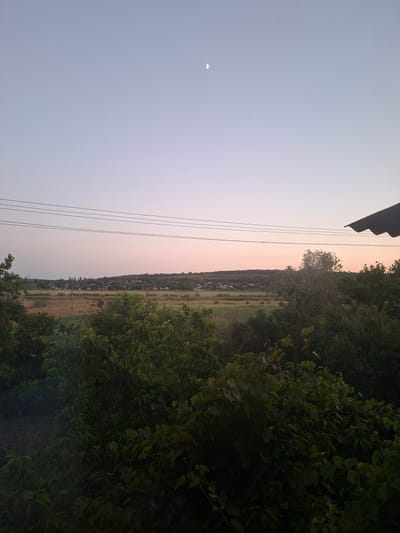 A wide-angle, horizontal shot captures a rural landscape at dusk near Veselynove, Ukraine. The sky, transitioning from a pale blue at the top to a soft pink near the horizon, is dotted with a sliver of a crescent moon. Power lines stretch horizontally across the middle ground, supported by unseen poles. Below, a village is nestled amidst rolling hills covered in trees and vegetation. The foreground is dominated by dense, dark green foliage, creating a sense of depth and framing the scene. A section of a dark, corrugated roof is visible in the upper right corner, suggesting the viewpoint is from a dwelling. The overall atmosphere is tranquil and serene.
