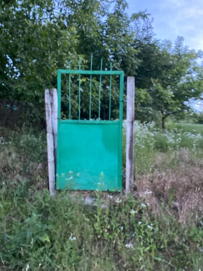 The image shows a green metal gate with vertical bars and a solid lower panel, supported by two concrete posts. The gate is situated in a rural or semi-rural environment, with overgrown grass and small white flowers in the foreground. Behind the gate, there is dense green foliage, likely trees and bushes. The sky is visible in the upper portion of the image, appearing overcast or cloudy. The overall scene suggests an outdoor setting, possibly on the edge of a property or an entrance to a field or wooded area. There are no people or animals visible in the image. The context of Horodca, Moldova, suggests this is a scene within that locality.