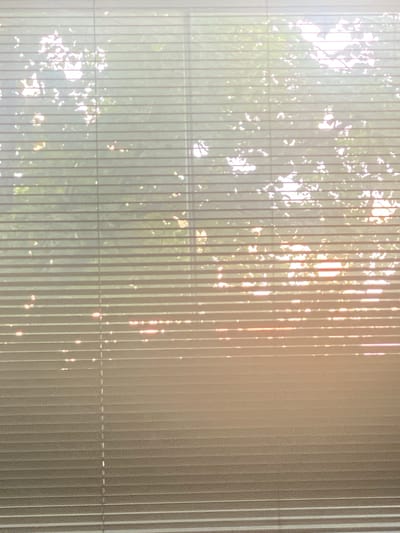 The image depicts a close-up view of venetian blinds, partially covering a window. Through the gaps in the blinds, the dappled sunlight filtering through green foliage is visible, suggesting an outdoor scene with trees. The light is bright and warm, indicating it may be daytime, possibly late afternoon or early morning due to the orange hue in some areas. The blinds themselves are horizontal and appear to be made of a light-colored material, possibly plastic or metal. The overall impression is one of a quiet, domestic setting viewed from inside a building. There are no people, animals, or specific landmarks identifiable to pinpoint a location within Kerava, Finland. The scene is static and does not capture any action or interaction.