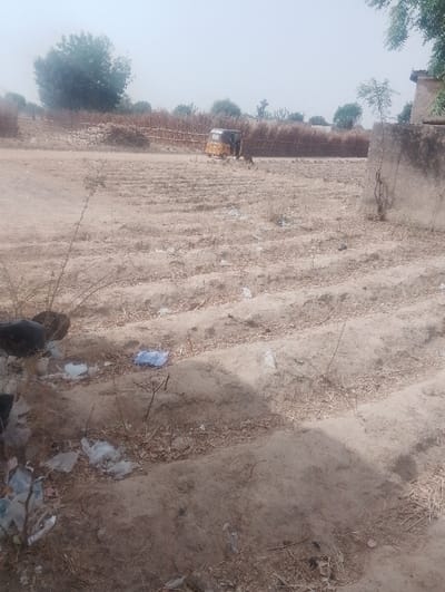 The scene depicts an open, dry, and dusty area in Kanwa, Nigeria. The foreground features light-brown, tilled earth with distinct parallel furrows. Numerous pieces of discarded plastic, predominantly white and blue bags or wrappers, are scattered across the ground. On the far left, a dark mound of debris, possibly organic waste, is visible, also mixed with plastic litter. To the right, a weathered concrete structure, resembling a partial wall or foundation, stands, with a small green sapling growing adjacent to it.
In the midground, a yellow three-wheeled auto-rickshaw is stationary. A dark-skinned individual is positioned beside the vehicle, facing towards the left side of the frame. A dark-furred animal, consistent with a dog, is on the ground near the individual and the vehicle. Behind them, a fence constructed from vertical wooden poles or dried stalks stretches horizontally across the field. Beyond the fence line, a dense band of dry, brown vegetation is present.
The background shows several trees with green foliage under a hazy, light-colored sky, indicating either atmospheric dust or an overcast condition.