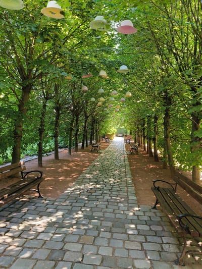 This image captures a picturesque pathway lined with trees in Goczałkowice-Zdrój, Poland. The scene depicts an outdoor setting, likely a park or garden, on a sunny day. The pathway itself is paved with cobblestones, and on either side, wooden benches offer places to rest. Above, suspended from the branches of the trees, are numerous colorful straw hats, creating a whimsical and decorative canopy. The trees are lush and green, indicating it's likely spring or summer. Sunlight filters through the leaves, casting dappled shadows on the path and ground. The overall atmosphere is serene and inviting, suggesting a peaceful place for a stroll or quiet contemplation. No people are visible in the frame, and there is no visible text.