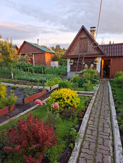 The image depicts a garden and two wooden structures at a dacha, a Russian country house, likely located in the city of Pervouralsk, Russia. The dacha consists of a larger, two-story wooden house with a brown metal roof and a prominent chimney. A ladder leans against its side, and hanging baskets with flowers adorn the exterior. Adjacent to it is a smaller, single-story wooden structure, also with a brown metal roof. A stone pathway leads to the entrance of the larger house.

The garden is abundant with various plants. Raised garden beds are visible, filled with vegetables like cabbage and leafy greens, as well as smaller plants and flowers. In the foreground, a red-leafed shrub is prominent, alongside two pink flamingo lawn ornaments. Lush green grass covers much of the ground. The sky above is partly cloudy, with hints of sunset colors. The overall impression is one of a well-maintained, rural property with a focus on gardening. No people are present in the image.