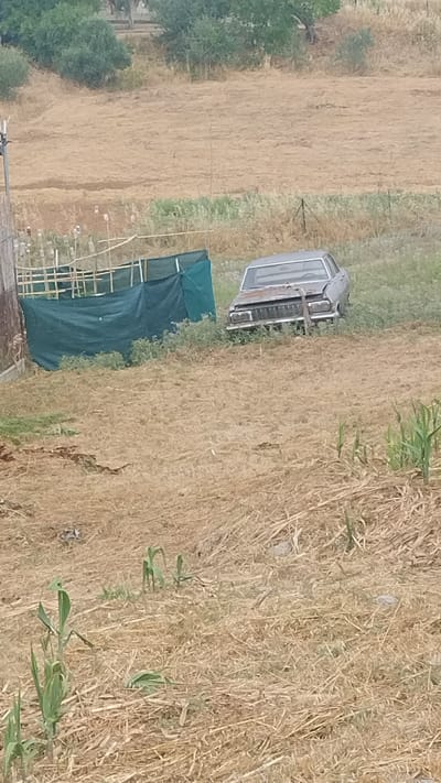 A weathered, gray sedan sits abandoned in a dry, grassy field. The car appears to be a 1970s model, with visible rust and damage to the front end. A dark green tarp, likely used for shelter or covering, is set up behind the car, supported by a wooden frame. The surrounding environment is rural, with dry vegetation and scattered green plants. In the background, a line of trees can be seen against a hazy sky. The image does not contain any people or evident human activity beyond the presence of the abandoned vehicle and the tarp structure. The scene is located in Νέα Κερασιά, Greece, as indicated by the context provided.