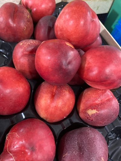 A top-down, close-up shot shows a black plastic tray filled with several ripe nectarines. The nectarines are mostly round with a distinct cleft, exhibiting shades of red, pink, and yellow. Some appear smooth-skinned, while others have a slight fuzz. The fruits are arranged in a packed configuration within the tray. The background is out of focus but suggests an indoor setting with hints of blue and green containers and a light-colored surface. The image does not contain any elements that would indicate a specific location in Kushchovskaya, Russia, or any people.