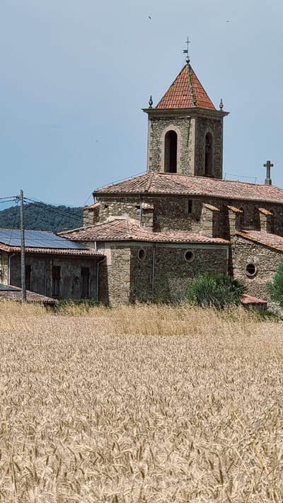 The image shows a stone church with a red-tiled roof and a bell tower, located in the city of La Vall d'en Bas, Spain. A field of golden wheat is in the foreground, with a low-rise building with solar panels to the left of the church. The sky is clear and blue, with two birds flying in the distance. The church has a cross on its roof and architectural details such as arched windows and circular openings.