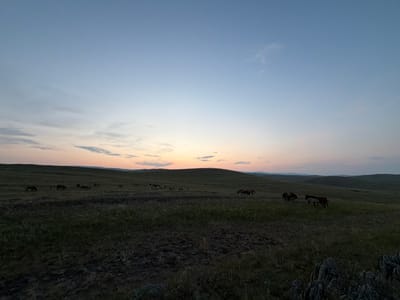 The image depicts a serene, panoramic view of rolling hills and a vast, open landscape under a twilight sky. The sky transitions from a soft pale blue at the top to hues of pink and orange near the horizon, with a few wispy clouds scattered across it. The foreground is dominated by a dark, grassy field with textured earth and scattered rocks. In the middle ground and background, a herd of horses grazes on the undulating terrain. Some horses are dark brown, while others appear lighter in color. They are spread out across the grassy slopes, with some closer to the viewer and others further in the distance, appearing as dark silhouettes against the faint light of the setting sun. The overall atmosphere is peaceful and natural, capturing a moment of quiet grazing in a remote, possibly rural or wilderness setting. The location is identified as Kuseevo, Russia.