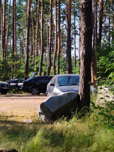 The image depicts a sun-dappled forest clearing, likely in or near Horods'ke, Ukraine. Several cars are parked on a dirt path amidst tall pine trees. One black sedan has its trunk open. In the foreground, a large, rough-textured boulder is partially obscured by tall, dry grass and greenery. The overall scene suggests a leisurely outdoor setting, possibly a picnic spot or a place for a temporary stop in a natural area. The sky is visible through the trees, indicating a clear day.