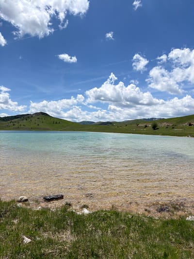 The image captures a landscape in Javorje, Montenegro, under a clear blue sky with white cumulus clouds. A faint aircraft contrail is visible in the upper-left quadrant of the sky. The central feature is a body of water exhibiting a clear, light aquamarine hue near the shore, deepening to blue in the distance. The lakebed near the shore is visible through the clear water, appearing composed of light-colored gravel and sand. Undulating green hills covered in grass and sparse trees define the middle ground and background. A prominent hill with a rocky apex is visible on the left. The immediate foreground consists of green and dry grasses bordering the lake. Several rocks are partially submerged along the waterline, including one dark, elongated rock centrally positioned in the foreground water. No human or animal subjects are present.