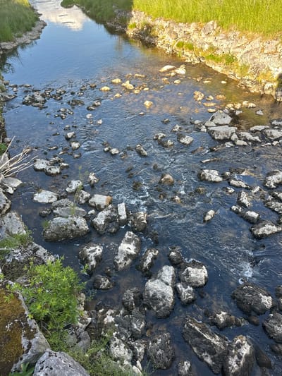 This media file shows a top-down view of a shallow, rocky river flowing through a natural landscape. The riverbed is filled with numerous stones of varying sizes, some submerged and others partially exposed. The water is clear and exhibits ripples and small waves, indicating a gentle current. On the left bank, vibrant green grass grows alongside rough, light-colored rocks, suggesting a sunny embankment. On the right bank, larger, moss-covered rocks and dense green foliage are visible, hinting at a more rugged terrain. A few thin, dry branches are present in the foreground, adding to the natural, untamed feel of the scene. The lighting suggests it is daytime, possibly late afternoon or early morning, given the warm tones on the rocks and grass. The setting appears to be a rural or wilderness area, consistent with Le Sentier, Switzerland, known for its natural beauty. There is no visible text in the image. The overall mood is serene and tranquil, capturing the essence of a peaceful outdoor environment.