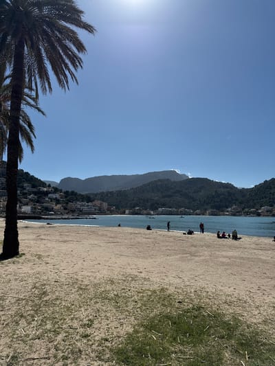 This image depicts a coastal scene on a clear, sunny day in El Port, Spain. The foreground features a sandy beach with patches of sparse green grass, partially framed on the left by the dark trunk and fronds of a palm tree. A bright sun is visible in the upper-left quadrant of the clear blue sky.
Approximately ten to twelve individuals are present on the beach. Several small groups and solitary figures are observed seated or standing near the waterline in the midground. Two individuals are standing together towards the center-right, while a larger group of five to six people are seated or lounging further right. Other individuals are seated alone or in pairs further left along the water's edge.
The calm, blue waters of a bay extend beyond the beach, reflecting the bright sky. At least three small boats are visible floating in the bay. The background reveals a coastal town with numerous white and light-colored buildings clustered on the hillsides surrounding the bay, particularly on the left. Distant, dark green, forested mountains form the horizon, enclosing the bay and town. A visible, lighter mountain peak stands out towards the center-right background.