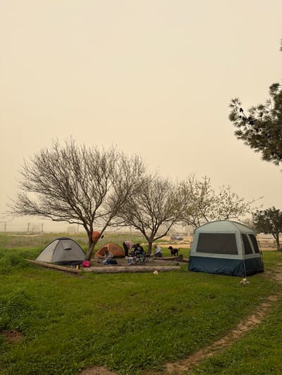 The image depicts an outdoor camping scene in a grassy field located in Rosh Haayin, Israel. The sky above is uniformly hazy with a distinct yellowish-brown tint. The ground is covered predominantly by green grass, with a dirt path visible on the far right.

In the midground, a campsite is established with three distinct tents: a grey dome tent on the left, an orange dome tent positioned centrally, and a larger blue and grey rectangular cabin-style tent on the right. An orange backpack is suspended from the bare branches of a deciduous tree situated between the grey and orange tents. Several deciduous trees with bare branches are prominent across the central frame, and an evergreen tree with pinecones is partially visible on the far right.

Five individuals and one dark-colored dog are present within the campsite. Four individuals are gathered around a central area defined by horizontally placed logs, which encircles a low camping table with various objects, several portable camping chairs, and a small cooking appliance resembling a grill or fire pit. Three individuals are standing or bending near the table, while one is seated in a chair to its right. A fifth individual is seated on the ground near the orange dome tent. The dark-colored dog stands near the individual seated in the chair.

In the background, a series of parallel power lines or utility poles are visible above a dirt road where a light-colored vehicle is parked. Various personal items, including bags and coolers, are distributed around the tents and the central gathering area.