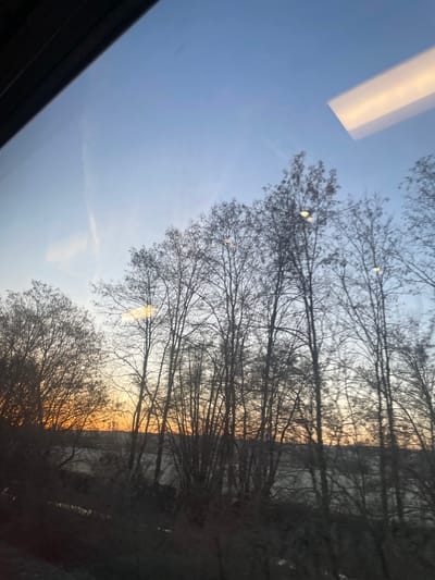 The image captures a view through a window, showcasing bare trees silhouetted against a sunset sky. The sky transitions from blue to orange, illuminating the branches. The composition also includes the edge of a window frame in the lower left and a bright, rectangular reflection on the window's upper portion. The tree branches obscure a distant background, creating a layered effect.