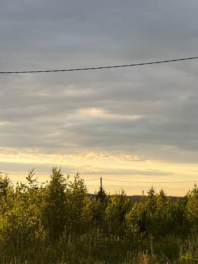 The image depicts a rural landscape at dusk, likely in or near the village of Kon, Russia. The sky is filled with dramatic, striated clouds, transitioning from a darker gray at the top to lighter, warmer tones near the horizon. A prominent, thin power line stretches horizontally across the upper portion of the frame. Below the sky is a dense line of lush green trees and tall grasses, illuminated by the low-angle sunlight. Some of the trees appear to be birches, identifiable by their light-colored bark. In the background, beyond the trees, is a dark, silhouetted treeline, suggesting a more distant forest or rolling hills. The overall impression is one of a peaceful, natural setting at the end of the day.
