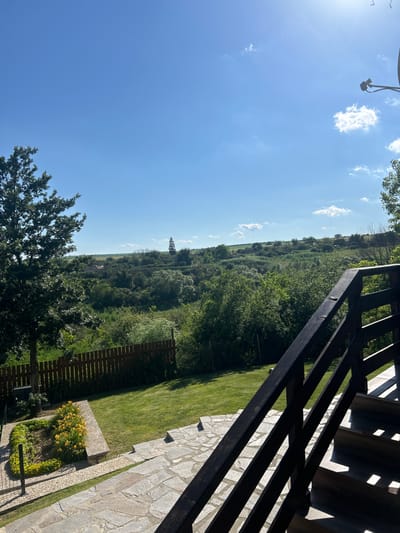 A sunlit, elevated outdoor view captures a landscaped garden and a distant hilly landscape under a clear blue sky with sparse clouds. In the foreground, a dark wooden staircase with a railing leads down towards a stone-paved area. To the left, a neatly mown lawn borders a garden bed filled with vibrant yellow flowers and surrounded by manicured green foliage. A wooden fence runs along the edge of the lawn, separating it from a densely vegetated area with trees and shrubs. In the middle ground, rolling hills dotted with more trees and vegetation create a verdant panorama, with a hint of a building with a red roof visible in the distance. The overall scene suggests a tranquil setting in a rural or semi-rural area, possibly in or around General Kiselovo, Bulgaria, given the characteristic hilly terrain and vegetation. There are no people visible in the image.