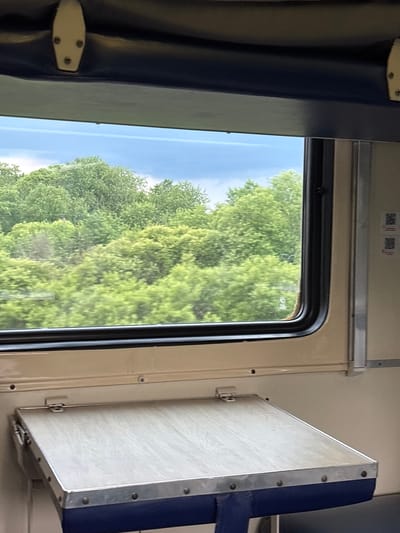 This image captures a view from inside a train carriage, looking out a window at a landscape of lush green trees under a cloudy sky. A fold-down tray table is visible in the foreground. The interior of the train carriage features beige walls and a dark blue trim. The overall impression is that of travel through a verdant, possibly rural, area. The specific location of "Raz"Yezd 9208 Kilometr, Russia" is not discernible from the visual content of the image.