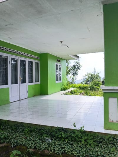 The scene depicts the exterior of a building in Nanlao, China, featuring a prominent, bright green painted wall with white trim. A covered porch or veranda extends from the building, paved with light-colored square tiles. The porch ceiling is white and shows signs of discoloration and minor cracks, with a damaged ceiling fixture visible.
On the left side of the building, there are multiple white-framed windows and a set of double white-framed glass doors, above which runs a horizontal strip of white decorative vents. Further right along the green wall, another white-framed window is present.
Immediately in front of the tiled porch, a strip of ground is covered with dense green foliage, including small-leafed plants, some exhibiting patterned leaves. A discarded clear plastic bottle is visible among this vegetation. Beyond the porch and the immediate ground cover, the terrain slopes downwards, densely vegetated with various trees and shrubs. In the background, under an overcast or bright sky, a distant landscape of hills or mountains is visible, indicating a rural or semi-rural elevated location. No individuals or active subjects are present in the image.