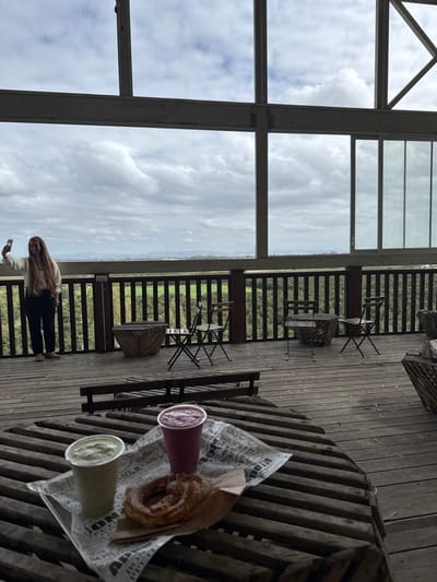 The image captures an elevated outdoor cafe or observation deck located in Kfar Vitkin, Israel. In the foreground, a round wooden slatted table displays two beverages in clear plastic cups—one green and one reddish-purple—alongside a golden-brown pretzel, all resting on a paper-lined tray. A female individual with long, light-colored hair, wearing a light-colored long-sleeved top and dark trousers, stands on the wooden deck near a dark wooden railing on the left side of the frame. She extends her left arm, holding a smartphone as if taking a photograph. The deck area features multiple small metal tables with foldable chairs and wooden benches. Beyond the railing, a panoramic view unfolds, revealing dense green foliage, distant hills, and an overcast sky dominated by substantial cloud cover. Large structural beams frame the upper portion of the scene, with a section of vertical window panes visible on the far right.