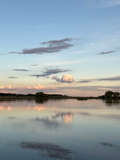 The image depicts a body of water, likely a lake or river, reflecting the sky above. The sky is a mix of pale blue and pinkish hues, indicating either sunrise or sunset. Several elongated clouds are present, ranging from light gray to darker shades. On the horizon, a line of trees and vegetation separates the water from the sky. The water surface is relatively calm, with subtle ripples causing reflections. Based on the prompt, this scene is located in Khryashchevka, Russia. No people or direct human activity are visible. The overall environment is natural and serene.