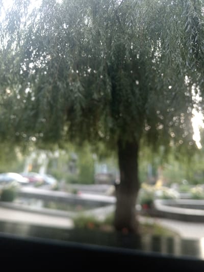 The image displays a blurry, soft-focus view of a large tree with cascading branches, possibly a weeping willow, in an outdoor setting. The sun is shining brightly through the leaves, creating many small, circular bokeh effects, suggesting it is daytime, likely late afternoon due to the warm light. The background is also blurred, but hints of what appear to be cars and some low-lying planters or landscaping elements can be discerned. The overall impression is serene and perhaps a bit dreamy due to the soft focus. The setting seems to be a public space, possibly a park or a street with trees. There is no visible text in the image. The provided location context of Katnaghbyur, Armenia, suggests a rural or semi-rural environment.