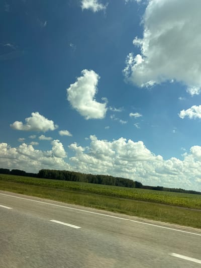 This is a media file depicting a scene from a road in Kazakhstan, likely in or near Қызылжар rural district. The image is oriented vertically, suggesting it was captured from a moving vehicle.
The subjects include a vast blue sky filled with numerous white, puffy clouds. These clouds vary in size and density, creating a dynamic and somewhat dramatic sky. Below the sky, a narrow strip of green farmland or a field is visible, bordered by a line of dark green trees. To the right of the field is a paved road with white lane markings, indicating it's a highway or a significant road. The road appears to be a light gray asphalt.
The activity taking place is travel, as implied by the road and the perspective of the shot. The time of day is daytime, given the bright sunlight illuminating the clouds and landscape. The weather appears to be partly cloudy, with a clear blue sky and scattered cumulus clouds. The location cues, such as the vast expanse of sky, the type of vegetation, and the road infrastructure, are consistent with a rural area in Kazakhstan. There is no text visible in the image. The overall mood is one of open space and movement.
