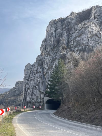 The image displays a two-lane asphalt road curving to the right and descending towards a tunnel entrance, situated near Lyutibrod, Bulgaria. A massive, grey, fractured rock formation dominates the right side of the frame, extending upwards and into the background. The dark, arched tunnel entrance, with a concrete portal, is built into the base of this rock face. Along the left side of the road, a low, grey stone wall supports a series of red and white chevron road signs indicating a sharp right curve. Sparse vegetation, including bare deciduous trees and a few green conifer trees, covers the terrain on the right side of the road. The sky is light blue and mostly clear, indicating daylight. No individuals, vehicles, or animals are present in the scene.