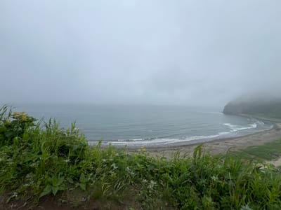 The image depicts a coastal scene with a beach and ocean. The sky is overcast and foggy, obscuring the horizon. In the foreground, there is lush green vegetation, including tall grasses and various plants. The beach itself is sandy and appears sparsely populated, with some debris or driftwood visible. The ocean has gentle waves rolling towards the shore. On the right side of the image, a rocky headland juts into the sea, partially shrouded in fog. The overall impression is one of a wild and somewhat desolate natural landscape. The location is identified as Tikhoe, Russia.