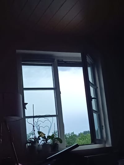 The photograph depicts an interior view, likely in a building in Neukirch, Germany, looking outward through a window. The window is partly open, and outside, the weather appears cloudy or overcast. Green foliage is visible, suggesting trees or other vegetation. The sill of the window has several potted plants. A lampshade with a star-shaped ornament is to the left of the window. The room is dimly lit.