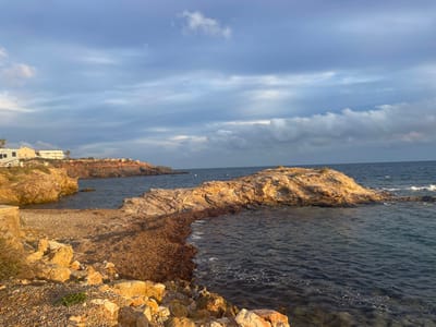 The image depicts a coastal scene in Cabo De Palos, Spain, characterized by rocky formations, a marine environment, and a partly cloudy sky. In the foreground, golden-brown rocks line a small cove. This cove features a gravel beach heavily covered with a dense accumulation of dark brown seaweed. To the right, clear, dark blue water shows small ripples. A prominent rocky islet, illuminated by low-angle sunlight, rises from the water in the mid-ground, supporting minimal green vegetation on its peak. To the left, a reddish-brown cliff face forms part of the coastline, extending into the bay. Above this cliff, multiple white-walled buildings with flat roofs are visible, interspersed with sparse green vegetation and palm trees. The background consists of the open sea under a sky with scattered white and gray cumulus clouds, indicating a partially overcast condition with visible blue sky. No individuals or active subjects are present.