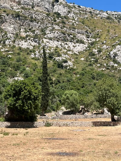 The image depicts a sun-drenched, rural landscape with a rocky, mountainous backdrop. In the foreground, dry, golden grass covers a relatively flat expanse. A low, stone wall, constructed from irregular rocks, runs horizontally across the mid-ground, separating the dry field from an area with more vegetation. Beyond this wall, several trees are visible, including a tall, slender cypress tree and a rounder, leafy tree. There are also what appear to be the remnants of stone structures, possibly ruins, nestled amongst the greenery. The background is dominated by a steep, rugged mountain slope dotted with sparse vegetation and exposed rock formations. The sky above is a clear, bright blue. There are no people or animals visible in the scene. The overall impression is one of a dry, natural environment, possibly in a Mediterranean setting, given the rocky terrain and the style of stone construction. While the image does not explicitly show any markers of Noto, Italy, the dry, rocky landscape with Mediterranean vegetation and stone walls is consistent with the rural surroundings of the city.