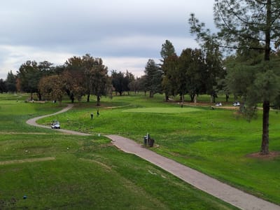 A golf course on a cloudy day presents a sprawling green landscape dotted with trees. A paved path meanders through the scene, leading to a green. Several people are visible, either walking or operating a golf cart. Groups of geese are scattered across the grass. Golfing equipment like carts and tee markers are also present in the image.