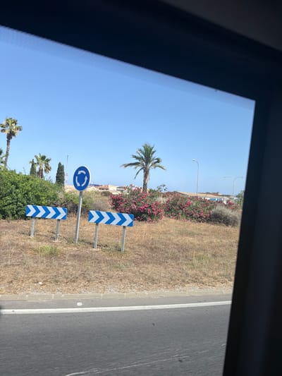 This is a roadside scene in Santa Eulària des Riu, Spain, viewed through a window, likely from a vehicle. The foreground features an asphalt road with a white lane marking. Adjacent to the road is a dry, grassy verge with a grey curb and a strip of gravel.
Dominating the middle ground are two road signs. A circular blue sign with white arrows indicating a roundabout is positioned centrally, mounted on a grey pole. To the left and right of this sign are two horizontal, rectangular blue and white chevron directional signs, also mounted on grey poles. These signs are angled to guide traffic around something to the right.
Behind the signs, the terrain is covered in dry grass and shrubs. A dense bush with vibrant pink flowers is visible, along with various other green and dry vegetation. Several palm trees are scattered throughout the scene, with taller, more mature ones in the background and a smaller one to the left. Two tall streetlights stand in the distance.
In the background, buildings with light-colored roofs and walls are visible, suggesting a developed area beyond the immediate roadside. The sky is clear and blue, indicating a sunny day. The overall impression is a dry, Mediterranean landscape during daylight hours.