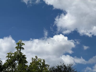 A distant airplane flies through a bright blue sky filled with fluffy white clouds. The plane is small and silhouetted against the white clouds, making it difficult to discern specific details. Below the sky, the tops of several trees are visible, with lush green leaves. The trees frame the bottom of the image, with some appearing darker and denser than others. The scene suggests a clear day, possibly in the afternoon, given the brightness of the sky and the distinct cloud formations. There are no people visible in the image, and no text is present. The overall impression is one of a peaceful, open sky with a hint of travel or distant movement.