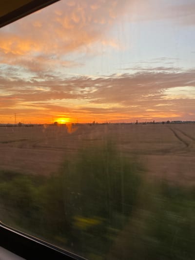 This image depicts a sunset over a rural landscape, likely in Plewiska, Poland, as viewed through a window. The sky is filled with dramatic orange and pink clouds, illuminated by the setting sun which is visible on the horizon. In the distance, there are power lines and a flat, cultivated field, possibly a wheat field, with tire tracks visible on its surface. A blurred band of green foliage runs across the bottom portion of the image, suggesting the foreground is also a natural element, possibly trees or vegetation observed from a moving vehicle. The overall impression is one of a serene, natural scene at dusk.