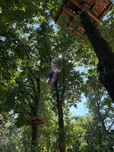 In Heijen, Netherlands, a person wearing a white long-sleeved shirt, blue shorts, and a helmet is navigating an aerial adventure course. They are positioned on a rope bridge suspended between trees, with their right hand reaching up to a higher rope for support. Below them, another wooden platform is visible, connected by netting. The scene is set amidst a lush, green forest, with sunlight filtering through the dense canopy of leaves and illuminating the clear blue sky above. A wooden structure is visible in the upper right corner, attached to a tree.
