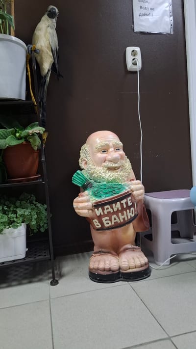A still life indoor scene captures a garden gnome figure standing on a tiled floor. The gnome, a light-skinned male with a bald head and a bushy white beard, is holding a green bunch of what appears to be birch branches, possibly a venik for a banya (Russian bathhouse), and a brown sack. The sack has Cyrillic text on it, which reads "ИДИТЕ В БАНЮ!" (Go to the bathhouse!). The gnome is wearing large sandals with black soles. To the left of the gnome, a black metal shelf holds potted plants, with the top shelf featuring a potted plant with green leaves in a brown pot, and the shelf below holding a plant with small, round green leaves in a white pot. Further to the left and partially visible is a stuffed bird, possibly a parrot, perched on a yellow object. Behind the gnome, a dark brown wall is visible, with a white electrical outlet and a white cord plugged into it. A white plastic stool is situated to the right of the gnome. The overall environment suggests an interior space, possibly a shop or a home decorated with themed items. The location of Niukzha, Russia, is not visually represented in the image.
