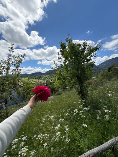 The image depicts a hand holding a vibrant pink peony in a lush green meadow under a blue sky with fluffy white clouds. In the background, a village is nestled in a valley surrounded by verdant hills and dense forests. The architecture of the village appears to be traditional, with red-tiled roofs visible among the trees. The overall scene suggests a serene rural landscape, possibly in or around the city of Gela, Bulgaria, given the traditional village architecture and mountainous terrain often found in that region. The lighting suggests it is daytime, likely midday or early afternoon.