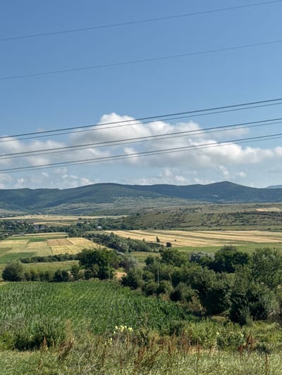 The image depicts a rural landscape in Karapila, Georgia, under a partly cloudy blue sky. Several power lines stretch horizontally across the upper portion of the frame. The midground features rolling hills and agricultural fields, with patterns of harvested and unharvested crops in shades of yellow and green. A small village with scattered houses is visible nestled among trees in the valley. The foreground is dominated by a dense field of green crops, possibly corn, with some dry grasses and wildflowers in the immediate front. The overall scene conveys a sense of natural beauty and rural life.