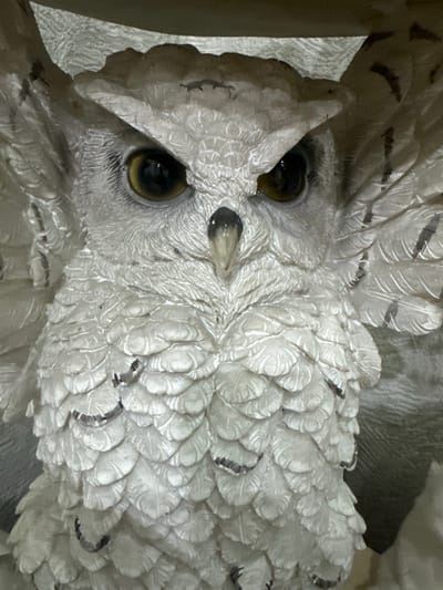 This is a close-up, high-angle shot of a white, detailed owl figurine. The owl is depicted with intricate feather detailing, with individual feathers carved to give a textured and layered appearance. Its large, round eyes are a prominent feature, with dark pupils and yellow-brown irises that reflect light, giving them a lifelike glint. The beak is small and pointed, characteristic of an owl. The owl's head is tilted, giving it an alert and curious expression. The overall color is predominantly white, with subtle grey or black accents on the edges of some feathers, adding depth and realism. The background is indistinct and appears to be a neutral, textured surface, possibly fabric or a similar material, with a dark, out-of-focus shape to the upper right. The lighting highlights the texture of the figurine, creating shadows that emphasize the carving of the feathers. There is no visible text. The specific location cues suggest the media file originates from Hîrbovăț, Moldova.