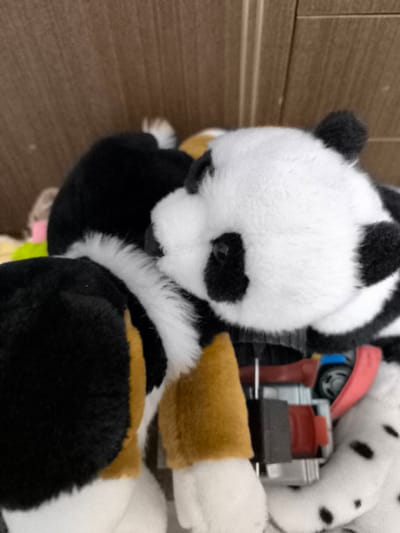 The image shows a close-up of two stuffed animals, a panda and what appears to be a dog with black, white, and tan markings. The panda is on the right, facing left, with its head turned towards the dog. The dog is on the left, facing right, with its head turned towards the panda. Both animals have fluffy textures and are positioned as if interacting with each other. In the background, a wooden surface is visible, possibly a shelf or furniture. There are also hints of other stuffed animals and some plastic components that might be part of a toy mechanism. The lighting suggests an indoor environment. The image does not contain information that would allow for localization in Zarasai, Lithuania.