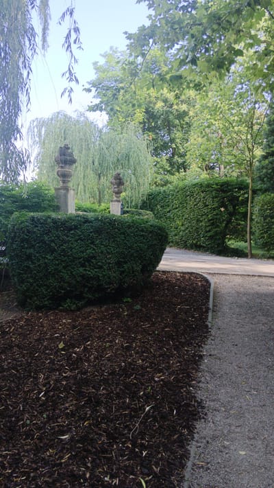 The image depicts a park-like setting with lush green foliage and a paved pathway. In the foreground, a large, rounded hedge is prominent, with dark brown mulch covering the ground around its base. Two ornate stone urns on pedestals are visible behind the hedge, suggesting a formal garden design. Behind these, a weeping willow tree with its characteristic drooping branches adds a softer, more natural element. Beyond the willow, dense green hedges and trees form a verdant backdrop, with sunlight filtering through the leaves. The paved pathway, made of gravel and interspersed with concrete edging, curves to the right, leading further into the park. The sky is a pale blue with a few wispy clouds. The image appears to be taken in a public park in Sankt Pölten, Austria, likely during daylight hours with a moderate amount of sunlight. There are no people or animals visible in the frame. The scene conveys a sense of tranquility and natural beauty.