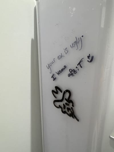 A close-up shot depicts graffiti on a white surface, likely a wall or panel. The text "Your ex is ugly." is written in blue ink. Beside it, another message reads "I know, right?". A crudely drawn, cartoonish, black fox emblem is also present. There is no evidence of a location in Schiphol, Netherlands.