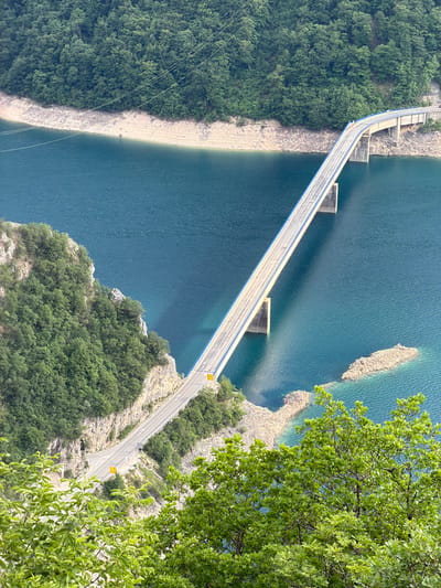 The image captures the Piva Lake Bridge in Plužine, Montenegro, from an elevated, slightly canted viewpoint. The bridge spans the dark blue waters of Piva Lake, connecting forested areas. The bridge has a light-colored roadway with blue guardrails and concrete supports extending into the lake. The landscape on either side is composed of greenery, rocky terrain, and exposed shorelines revealing the waterline. A tree with green foliage occupies the lower right corner, partially obscuring the scene.