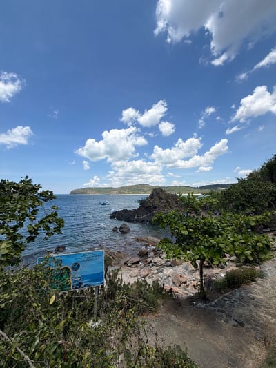 This is a landscape photograph taken from a rocky, vegetated area overlooking the sea. In the foreground, there are green trees and shrubs, with a path made of flagstones to the right. A sign with text and images is partially obscured by foliage in the lower left. The middle ground features the blue ocean with gentle waves, a rocky outcropping with dark, jagged rocks, and a few small boats. In the background, a coastal landscape with hills and more vegetation extends to the horizon under a bright blue sky with scattered white clouds. This scene is located in Phú Lương, Vietnam.