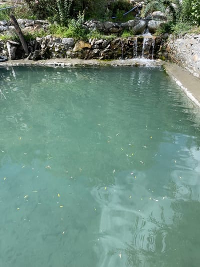A serene, clear turquoise water pool is the central focus of the image, located in Turtuk, India. The pool is rectangular and bordered by a concrete edge on the right and a stone embankment on the left. Small leaves and other debris float on the surface of the water. A small waterfall cascades down a rocky wall at the far end of the pool, feeding into it. Lush green vegetation and rocky outcrops surround the waterfall and the embankment. The scene appears to be an outdoor, natural setting, possibly a natural spring or a man-made pool designed to mimic one. There are no people visible in the image.